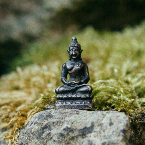 Feng Shui Courses